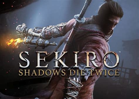 Is Sekiro Multiplayer: A Journey Through Shadows and Shared Screens