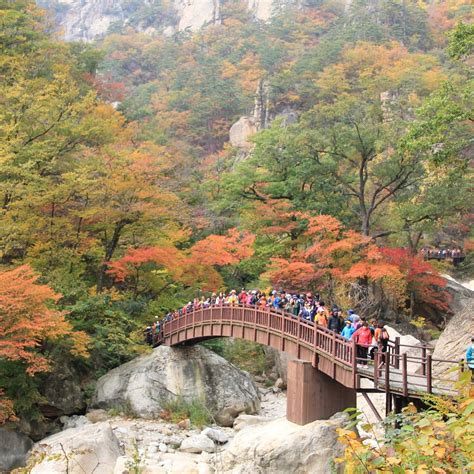 속초 가족여행 코스: 바다와 산의 조화를 느끼며