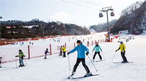 비발디 파크, 겨울 스포츠의 천국에서 찾은 여름의 낭만